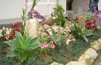 Emplanta Paisagismo & Jardinagem - Foto 1