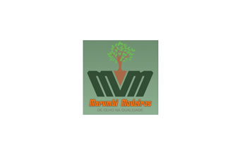 Morumbi Madeiras - Foto 1