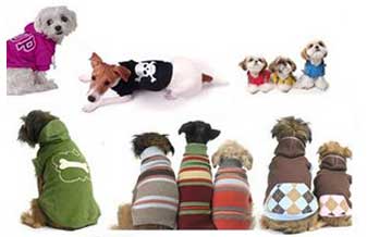 Chic & Pet - Foto 1