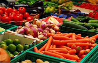 Fruta & Folha - Foto 1