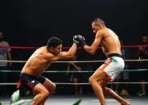 Jungle Fight