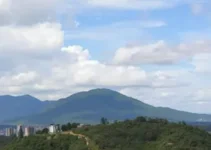 vagas de emprego