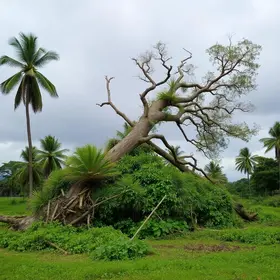 ventos em São José dos Campos