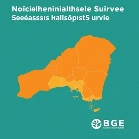 Pesquisa Nacional de Saúde