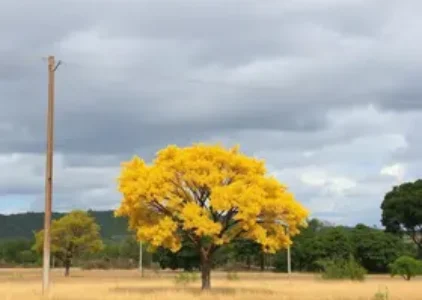 Últimas noticias de São José dos Campos