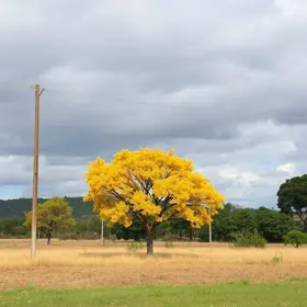 alerta de tempo seco