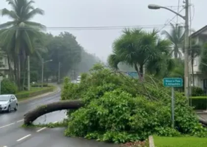Últimas noticias de São José dos Campos