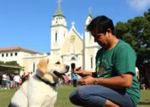 Castramóvel