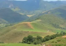 PAT São José dos Campos
