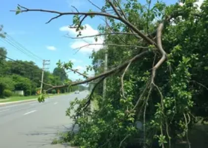 Últimas noticias de São José dos Campos