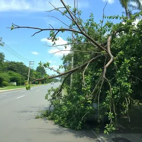 galho cai carro São José