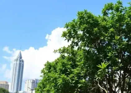 Últimas noticias de São José dos Campos